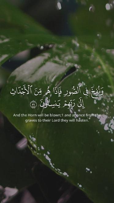 مثال فيديو قرآني